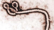 世衛重申埃博拉不經空氣傳播：變異說系臆測
