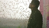 男子為產生抗體不怕被蜇居然引20萬隻蜜蜂包裹全身