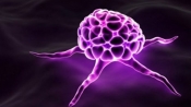 為什麼癌細胞能無限分裂？