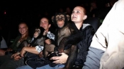 黑猩猩為《猩球崛起》豎起大拇指稱讚