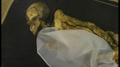 俄2500年前女性古屍死因查明：吸食大麻過量
