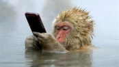 日本1隻猴子邊泡溫泉邊玩手機照片獲獎