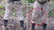 南美軍人在褲襠內藏蟒蛇 小便時讓其出來透氣