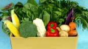 如何辨別有機蔬菜