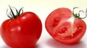 番茄美人計