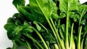 菠菜祛斑法