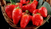 辨激素草莓