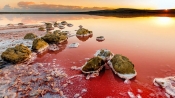 克里米亞粉色鹽湖如火星奇境
